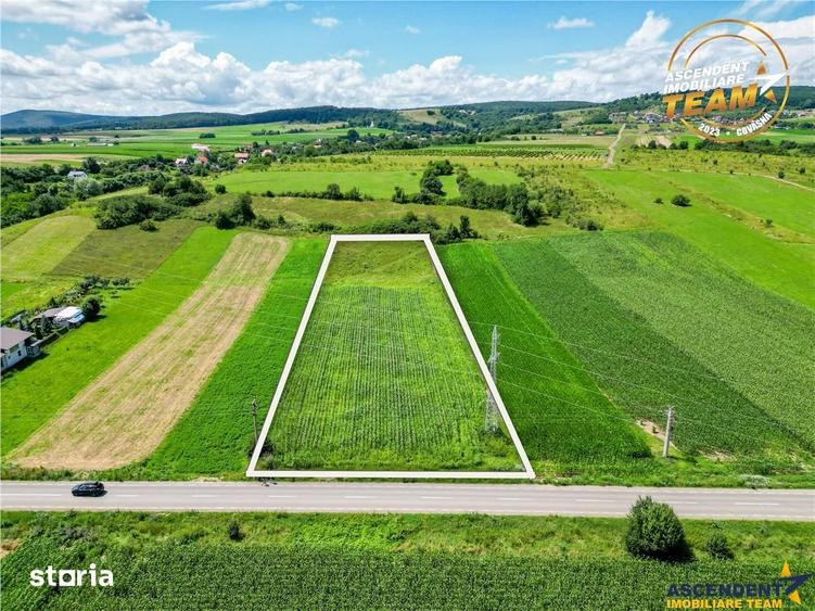 Teren de 7400 mp, în Ilieni