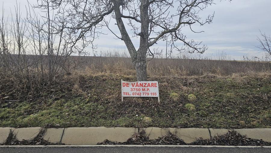 Spațiu comercial, în Central