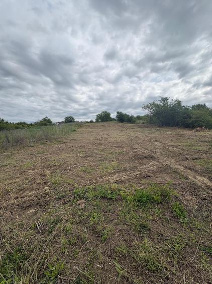 Teren Construcții intravilan de 1500 mp, în Est