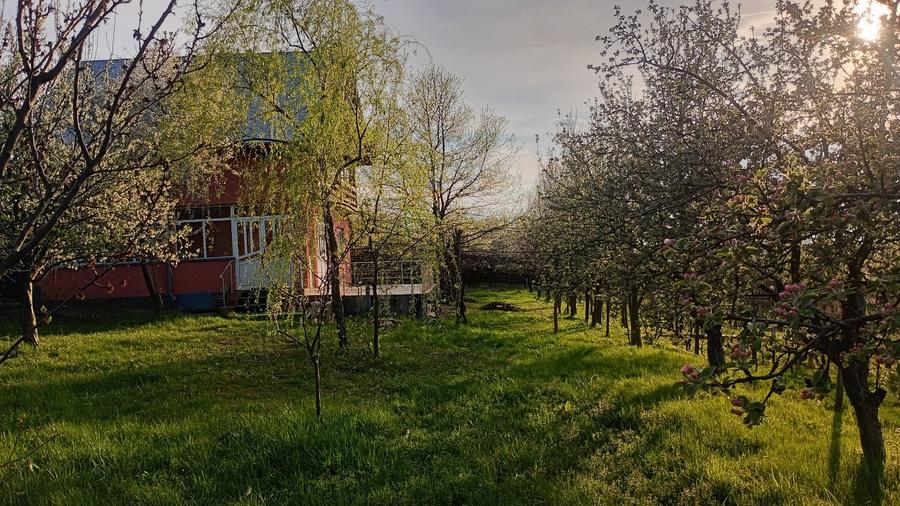 Casă individuală cu 3 camere cu Teren 2000 Mp în Bârnova