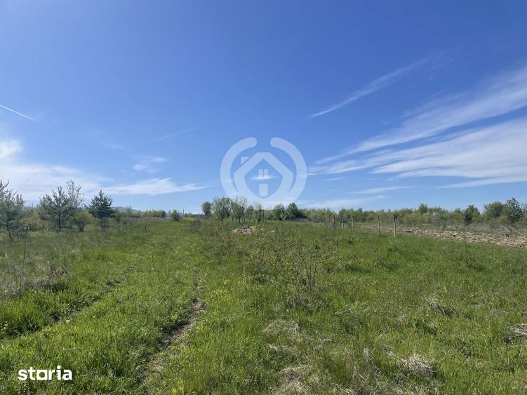 Teren de 1200 mp, în Poplaca