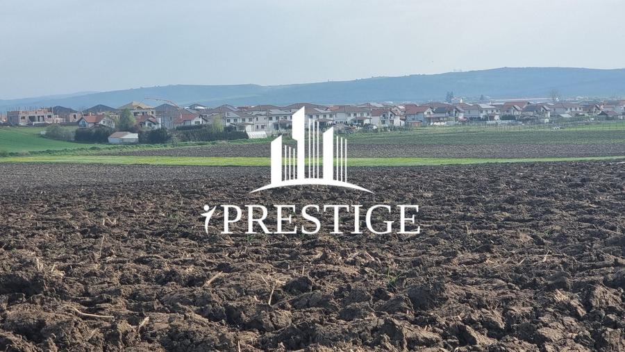 Teren agricol extravilan de 10000 mp, în Șura Mică
