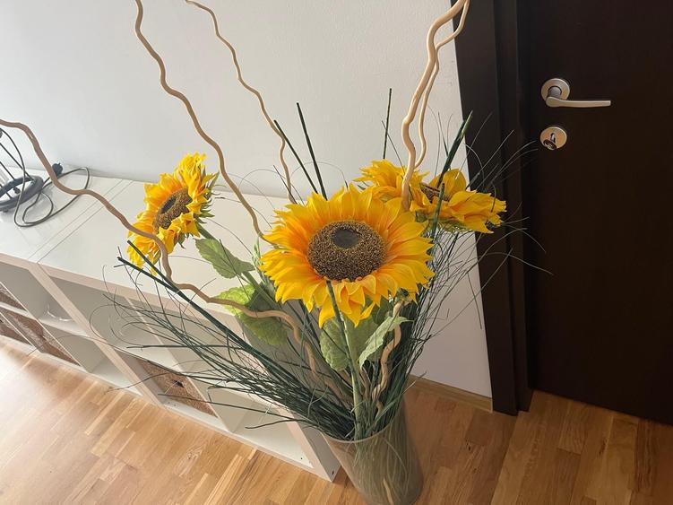 Apartament cu 2 camere semidecomandat în Exterior Nord