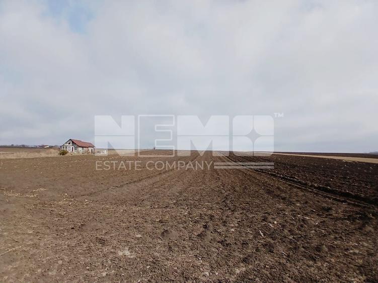 Teren agricol intravilan de 7700 mp, în Moara