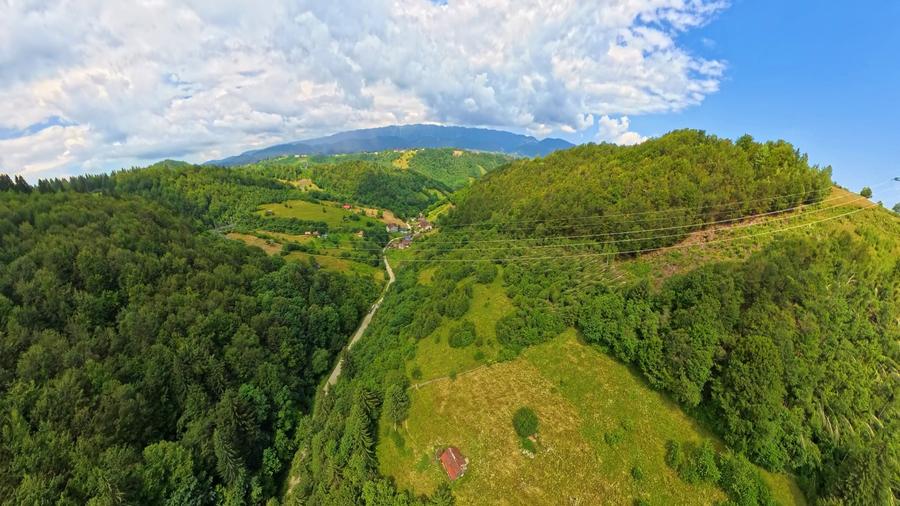 Teren agricol extravilan de 31733 mp, în Moieciu de Jos