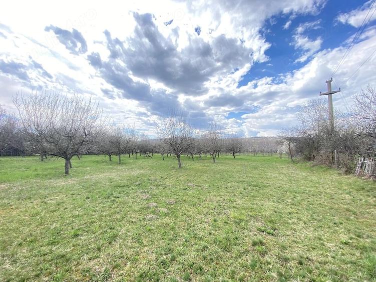 Teren de 7000 mp, în Berevoești