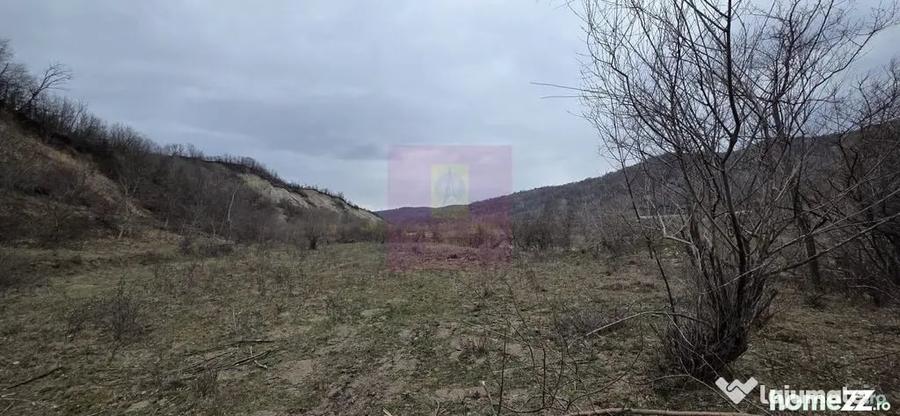 Teren de vanzare in Brebu - Raul Doftana - 5
