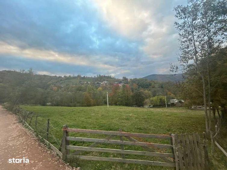 Teren de 5800 mp, în Lupșa