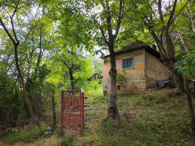 Teren de 4100 mp, în Central