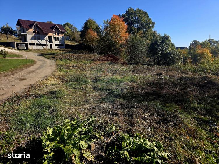 Casă cu 5 camere cu Teren 2700 Mp în Alexandru cel Bun