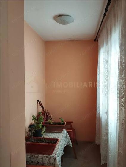 Casă cu Teren 1640 Mp în Satu Nou de Sus