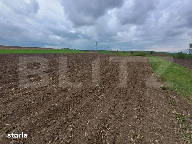Teren de 5000 mp, în Bosanci