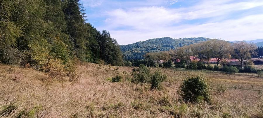 Teren Construcții intravilan de 20000 mp, în Brădet