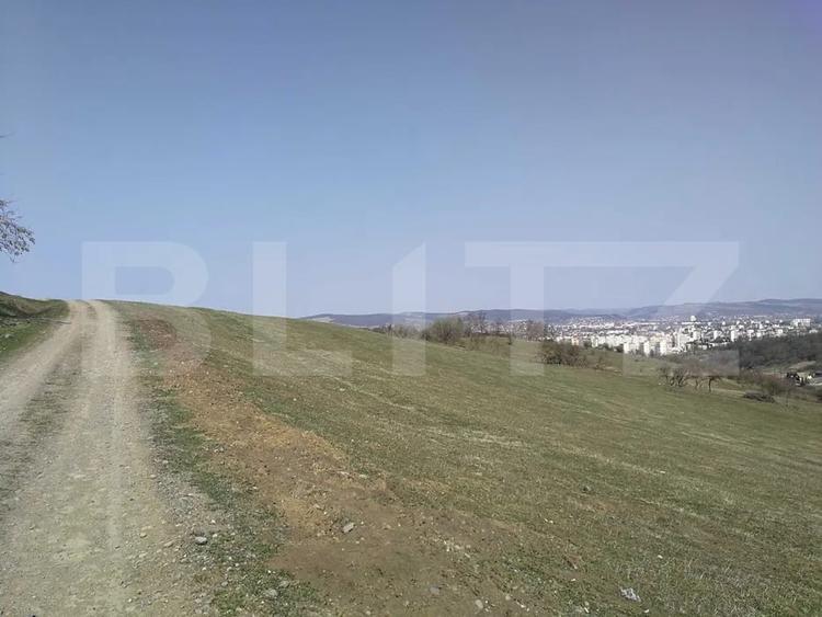 Teren Construcții intravilan de 15904 mp, în Dâmbu Pietros