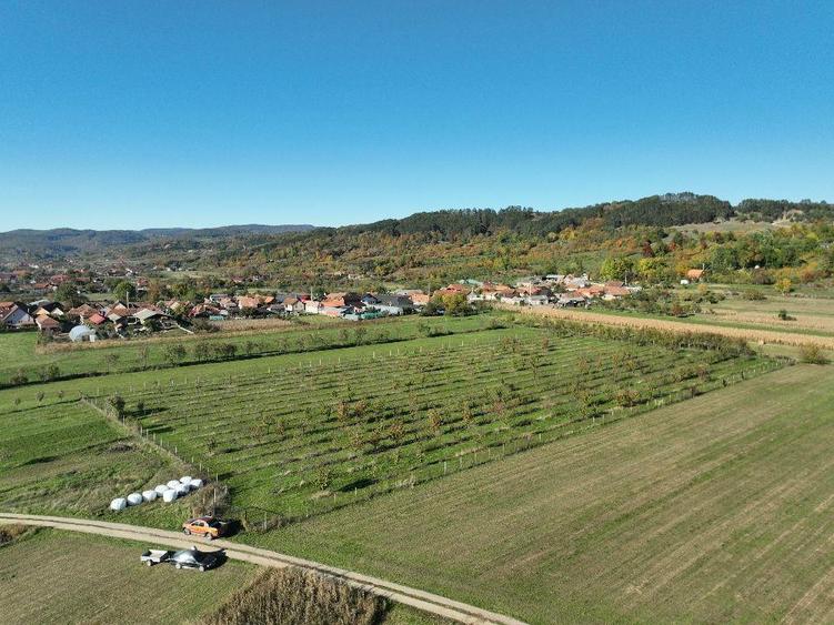 Teren intravilan de 14527 mp, în Aușeu