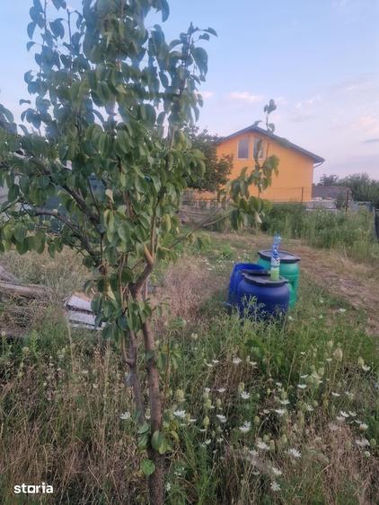 TEREN INTRAVILAN DE VANZARE ROBANE?TI, DOLJ | 5.000 MP - 11