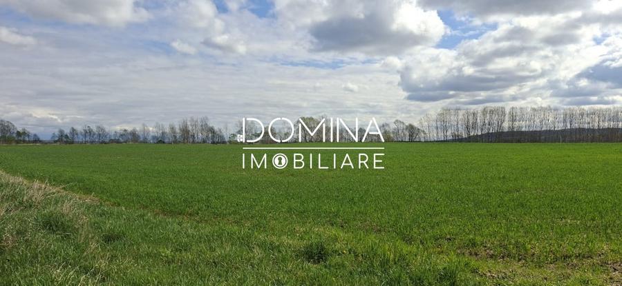 Teren Construcții intravilan de 20386 mp, în Câlnicu de Sus