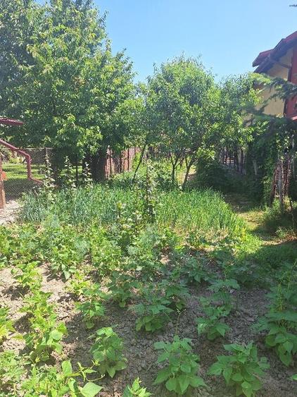 Casă cu 2 camere în Curtea de Argeș