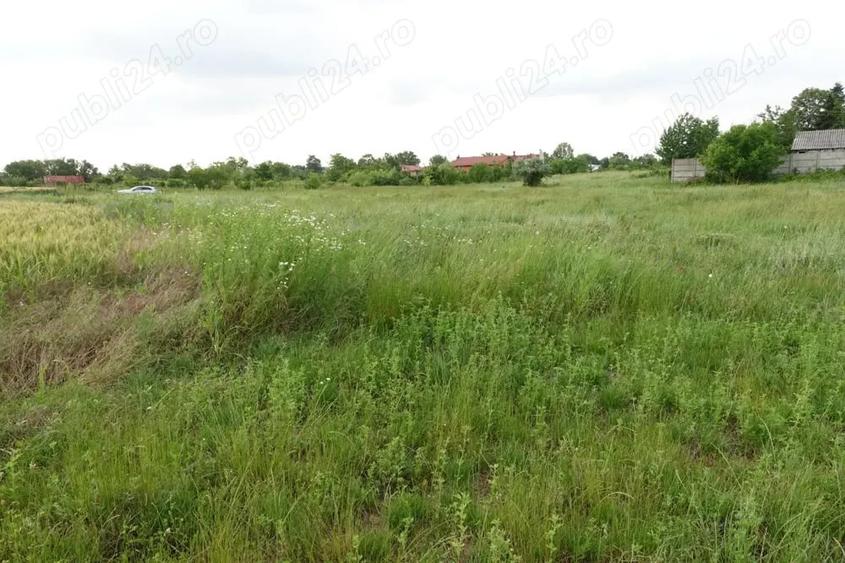 Teren de 10100 mp, în Tâncăbești