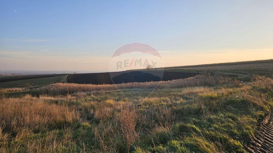 Teren agricol extravilan de 30077 mp, în Stroiești