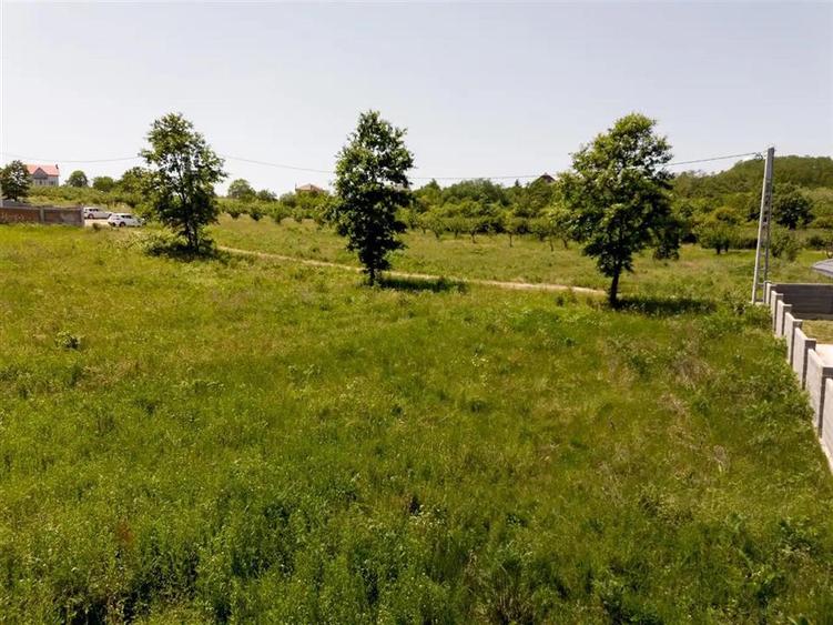 Teren intravilan de 616 mp, în Săldăbagiu de Munte