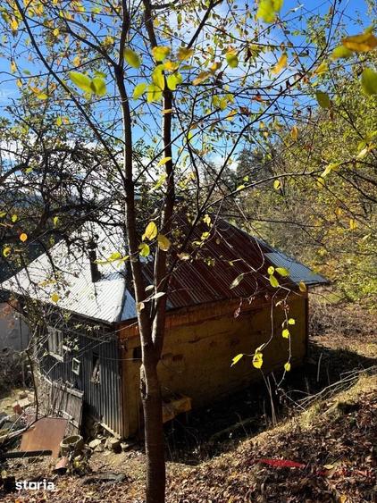 Casă cu 2 camere cu Teren 2300 Mp în Tiha Bârgăului