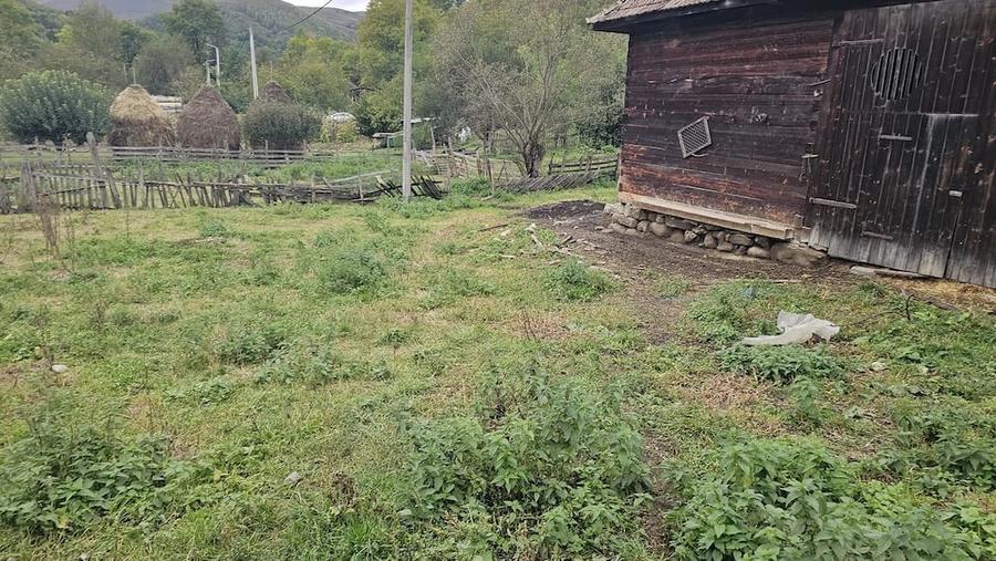 Teren de 800 mp, în Ocolișel