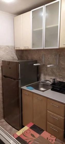 Garsoniera renovata, vedere parc, 5 min IOR, pet friendly - 8