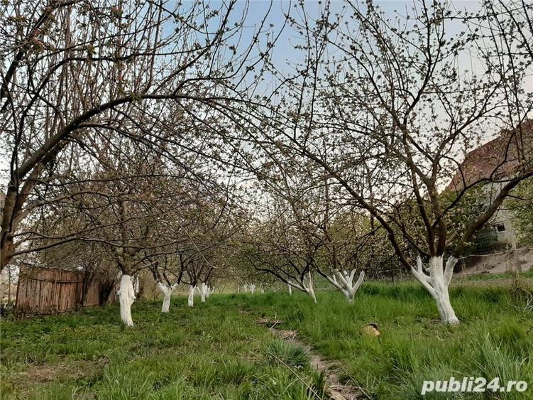 Teren de 2226 mp, în Câmpulung la Tisa
