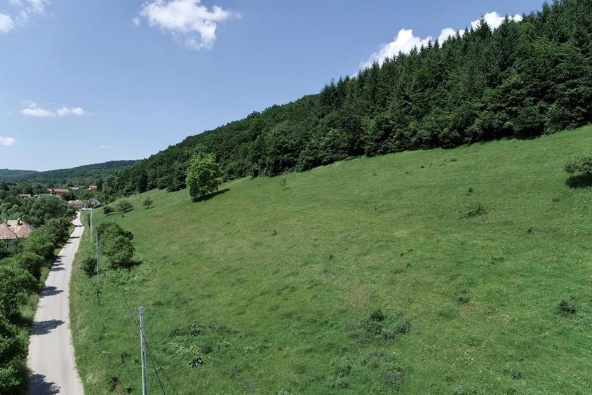 Teren de 8000 mp, în Micești