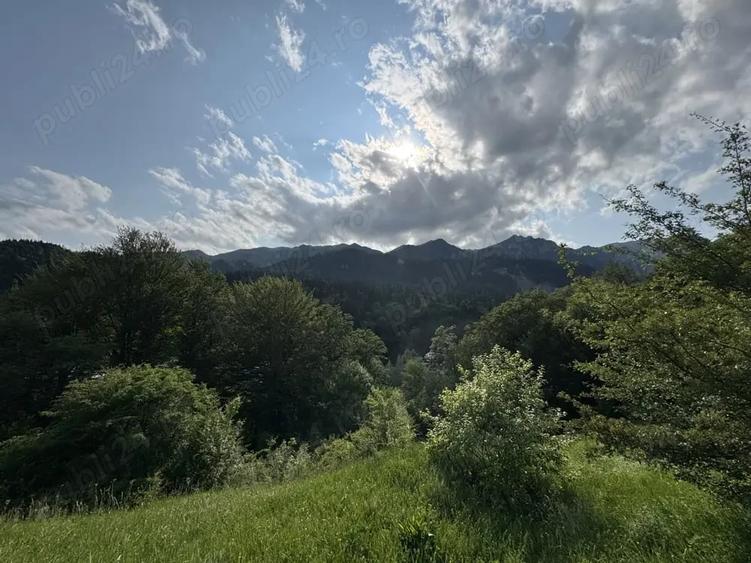 Teren de 5047 mp, în Cumpătu