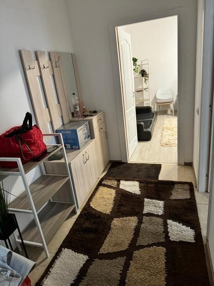 Apartament cu 2 camere în Lujerului