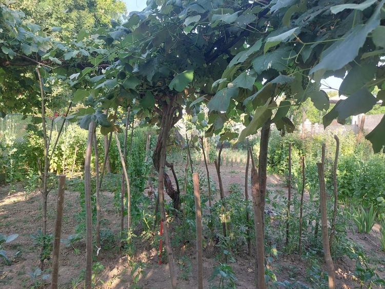 Casă individuală cu 5 camere cu Canalizare în Exterior Nord