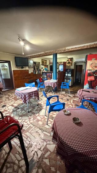 Închiriere spațiu comercial Ilioara Salajan - 9