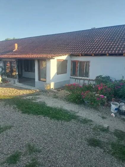 Casă cu Teren 350 Mp în Andrei Șaguna