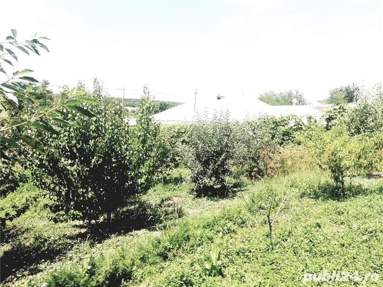 Casă cu 4 camere cu Teren 5000 Mp în Valea Mărului