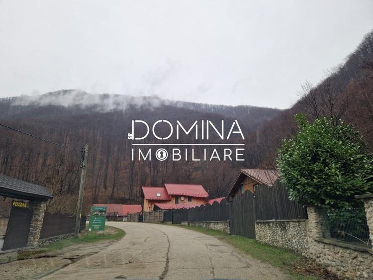 Teren Construcții intravilan de 4416 mp, în Peștișani