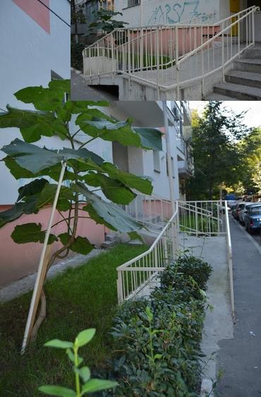 Apartament cu 2 camere decomandat, mobilat în Lacul Tei