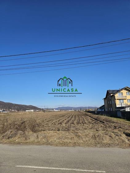 Teren Construcții intravilan de 7409 mp, în Copăcelu