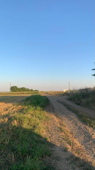 Teren Construcții intravilan de 8655 mp, în Dascălu