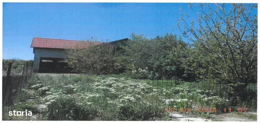 Casă cu 4 camere în Suraia