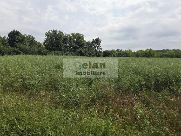 Teren Construcții intravilan de 1709 mp, în Ciolpani