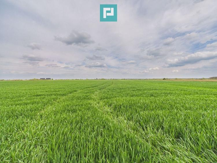 Teren agricol extravilan de 19900 mp, în Giroc