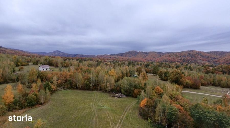 Teren de 18860 mp, în Șinca