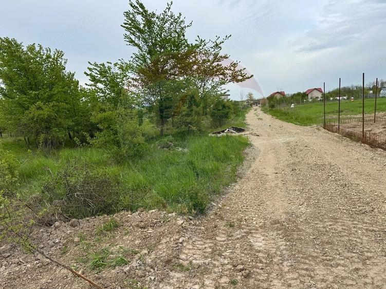 Teren de 960 mp, în Ciolpani