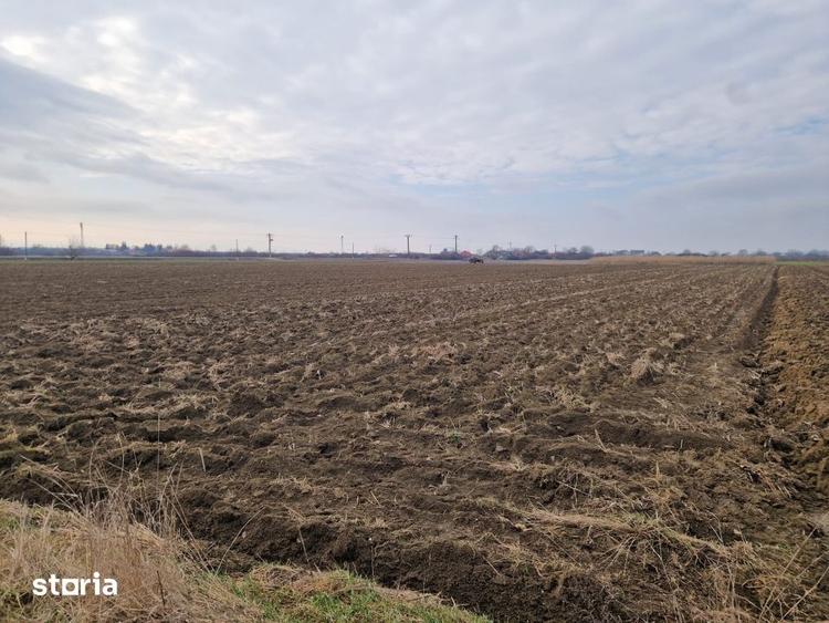 Teren de 5900 mp, în Satulung
