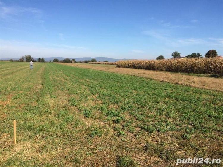 Teren de 5500 mp, în Stupini