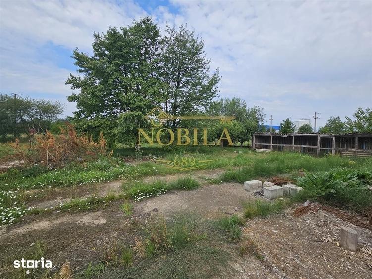 Teren de 10000 mp, în Ștefan cel Mare