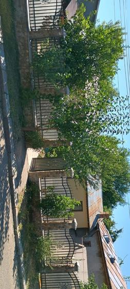 Casă cu 2 camere cu Teren 400 Mp în Central
