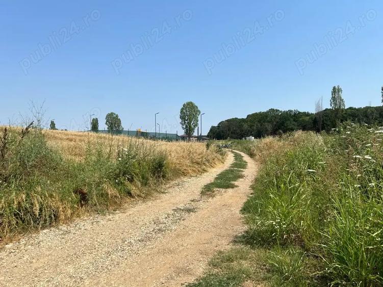 Teren de 4000 mp, în Ciolpani